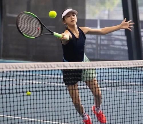 的技术特点 的技术特点